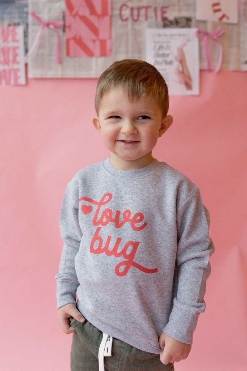 love bug sweatshirt