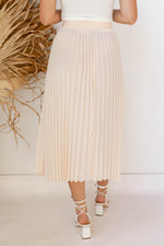 pleated to meet you skirt