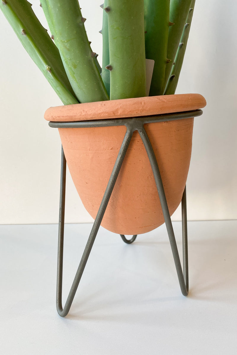 mode, clay planter